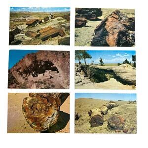 Lot of 6 Vintage Scenery Nature Trees Postcards